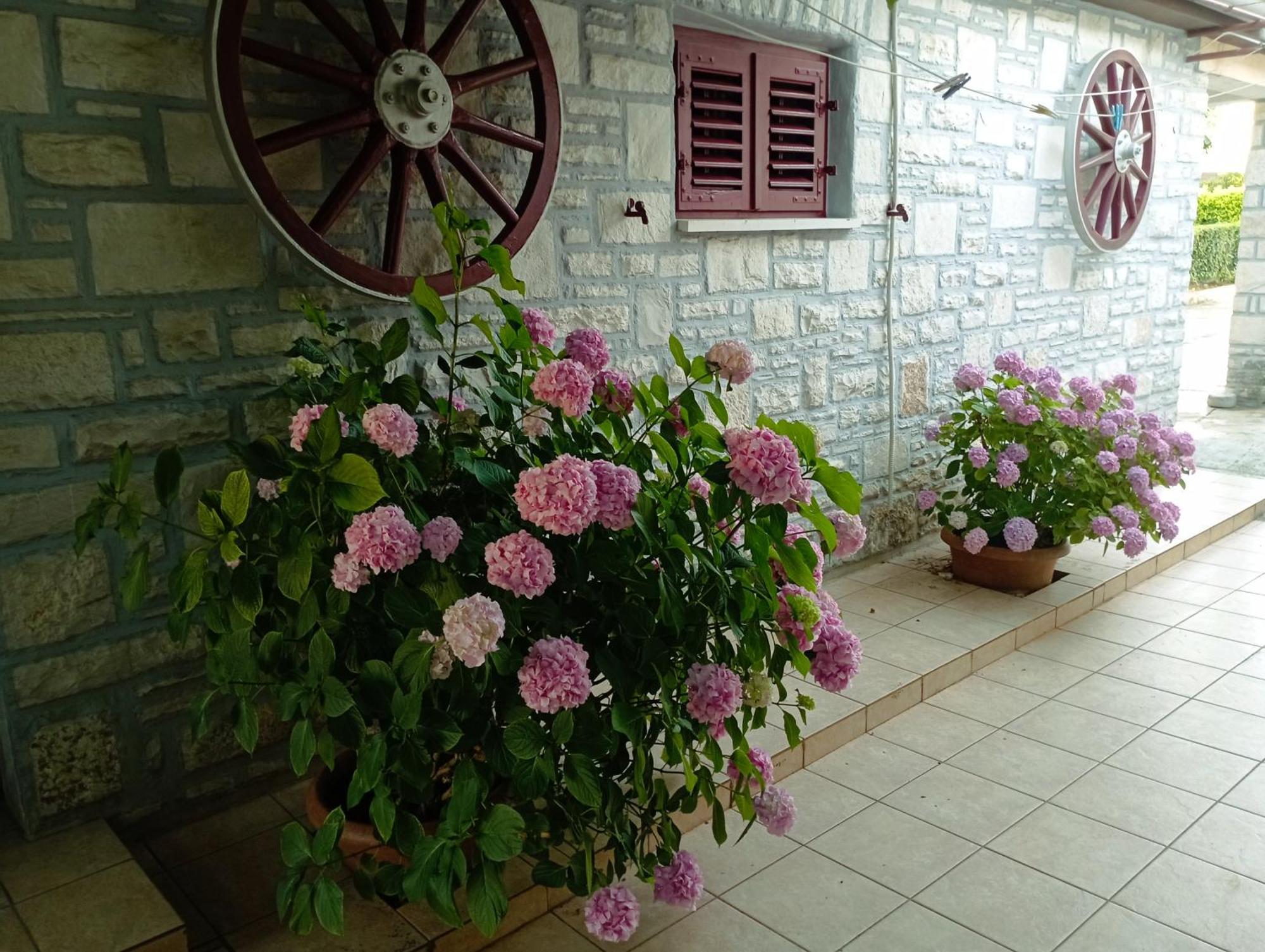 Apartman Sunce Umag Exterior foto
